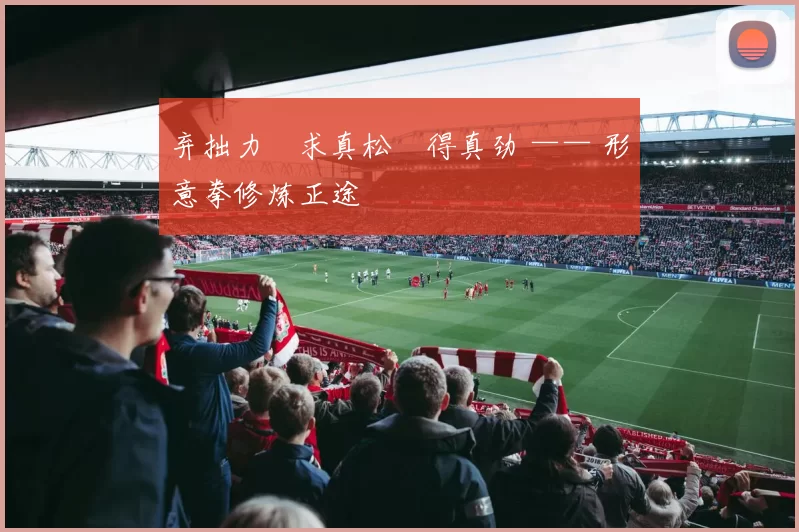 弃拙力・求真松・得真劲 —— 形意拳修炼正途