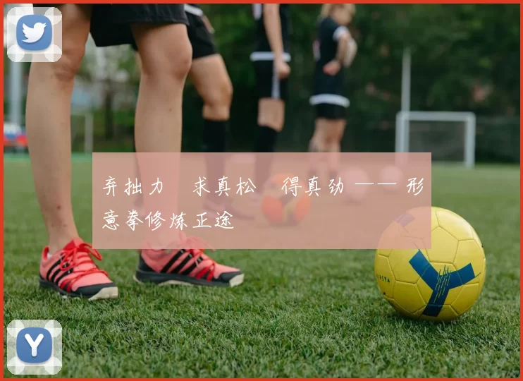 弃拙力・求真松・得真劲 —— 形意拳修炼正途