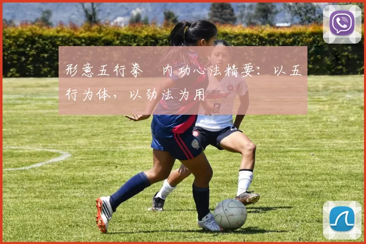 形意五行拳・内功心法精要：以五行为体，以劲法为用