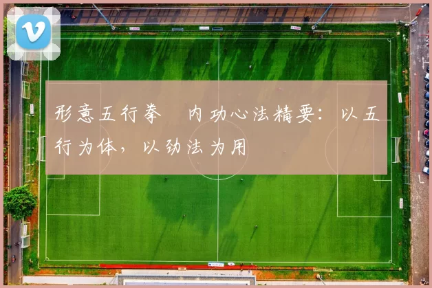 形意五行拳・内功心法精要：以五行为体，以劲法为用