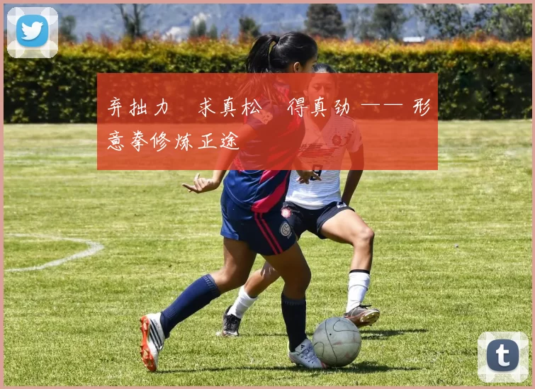 弃拙力・求真松・得真劲 —— 形意拳修炼正途