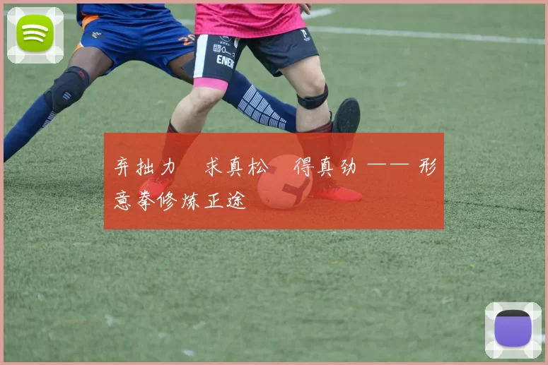 弃拙力・求真松・得真劲 —— 形意拳修炼正途