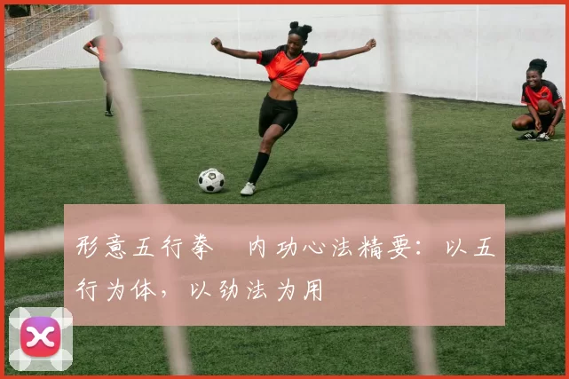 形意五行拳・内功心法精要：以五行为体，以劲法为用