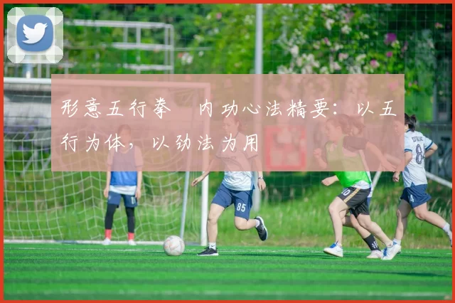 形意五行拳・内功心法精要：以五行为体，以劲法为用