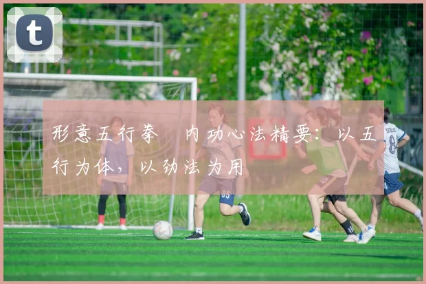 形意五行拳・内功心法精要：以五行为体，以劲法为用