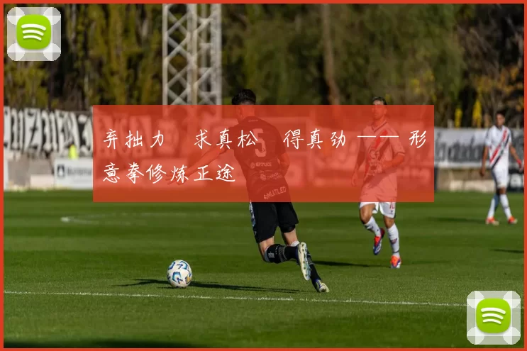 弃拙力・求真松・得真劲 —— 形意拳修炼正途