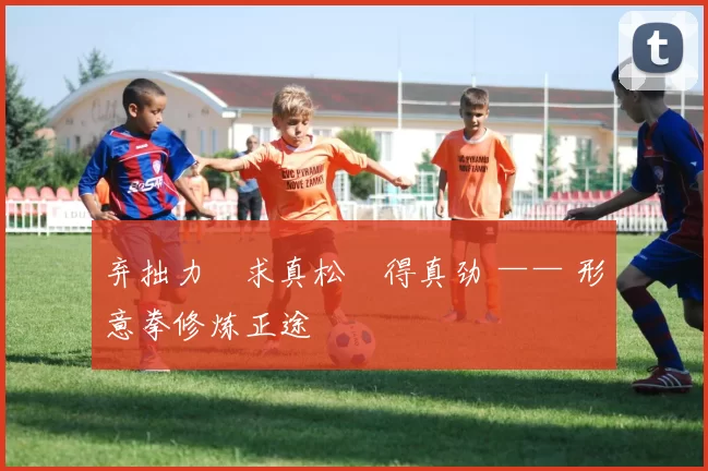 弃拙力・求真松・得真劲 —— 形意拳修炼正途