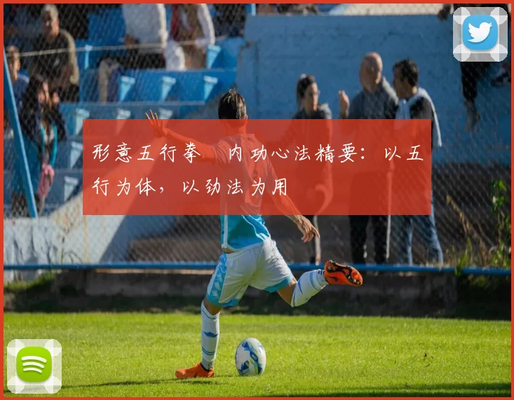 形意五行拳・内功心法精要:以五行为体,以劲法为用