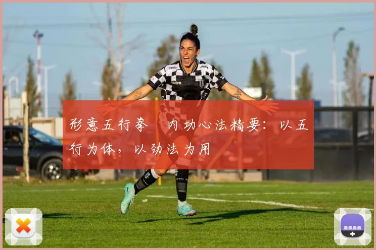 形意五行拳・内功心法精要:以五行为体,以劲法为用