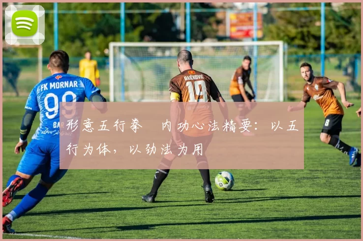 形意五行拳・内功心法精要：以五行为体，以劲法为用