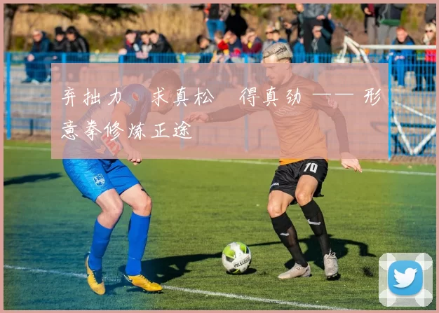 弃拙力・求真松・得真劲 —— 形意拳修炼正途