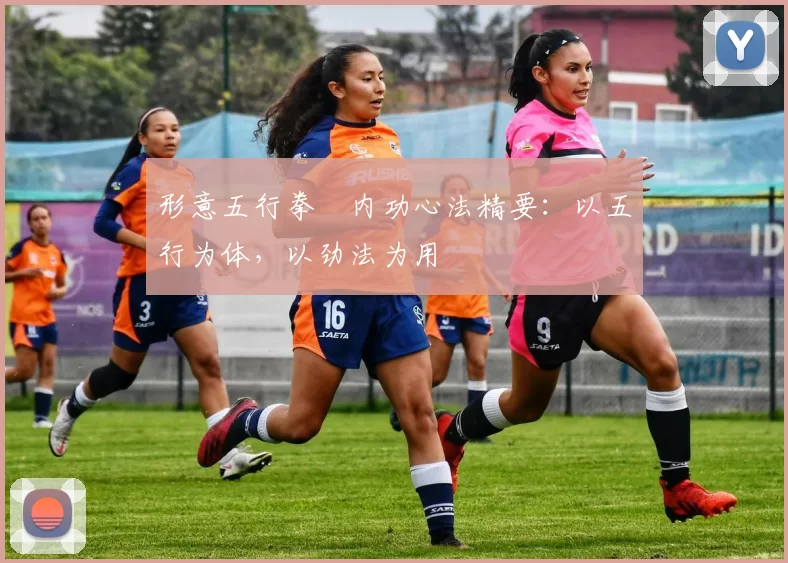 形意五行拳・内功心法精要：以五行为体，以劲法为用