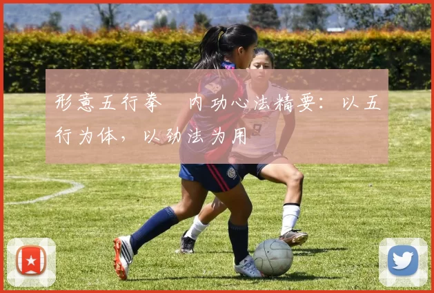 形意五行拳・内功心法精要:以五行为体,以劲法为用