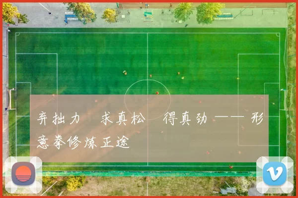 弃拙力・求真松・得真劲 —— 形意拳修炼正途