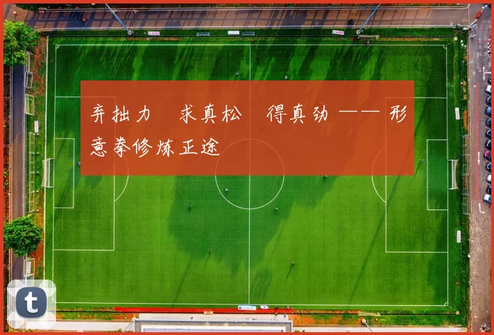 弃拙力・求真松・得真劲 —— 形意拳修炼正途