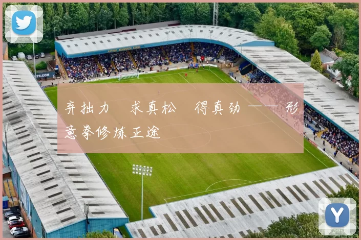 弃拙力・求真松・得真劲 —— 形意拳修炼正途