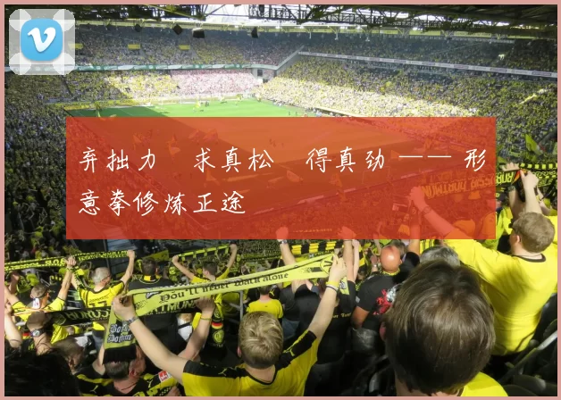 弃拙力・求真松・得真劲 —— 形意拳修炼正途