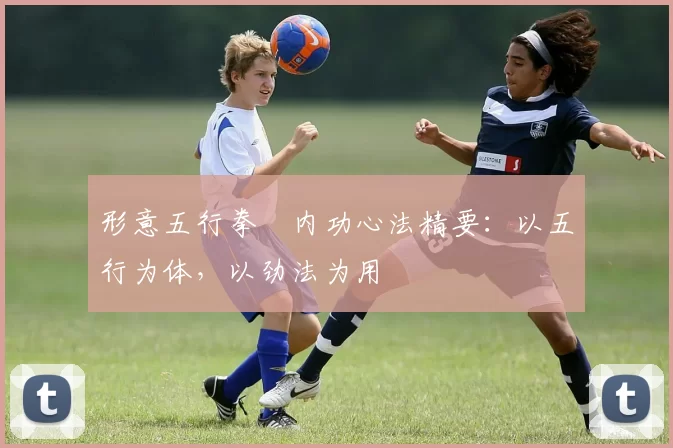 形意五行拳・内功心法精要：以五行为体，以劲法为用