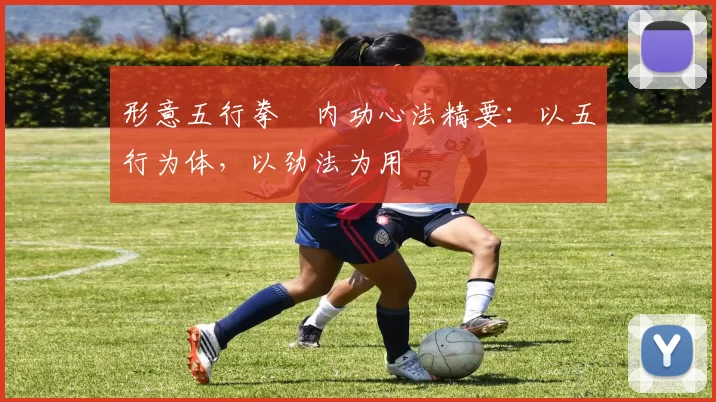 形意五行拳・内功心法精要:以五行为体,以劲法为用