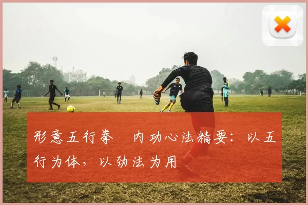 形意五行拳・内功心法精要：以五行为体，以劲法为用