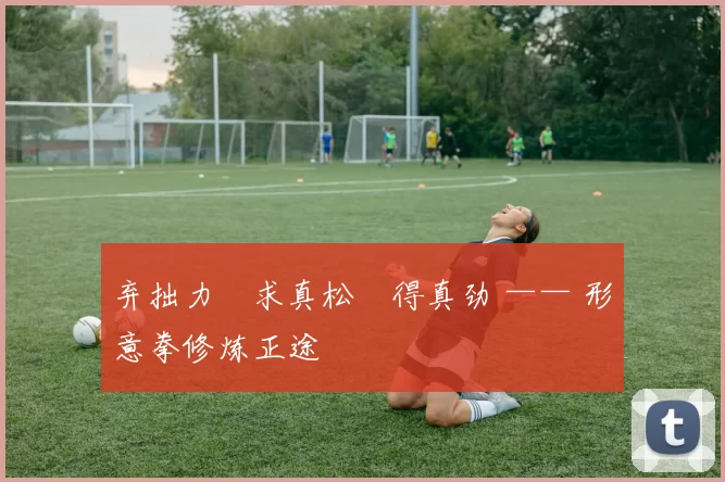 弃拙力・求真松・得真劲 —— 形意拳修炼正途