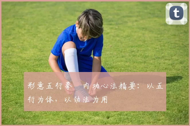 形意五行拳・内功心法精要：以五行为体，以劲法为用
