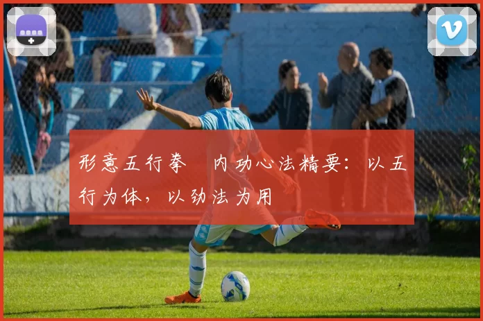 形意五行拳・内功心法精要：以五行为体，以劲法为用