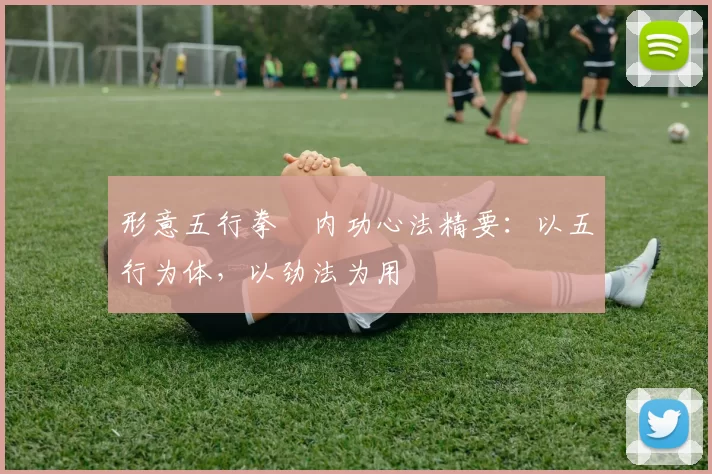 形意五行拳・内功心法精要：以五行为体，以劲法为用