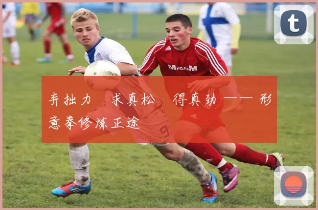 弃拙力・求真松・得真劲 —— 形意拳修炼正途