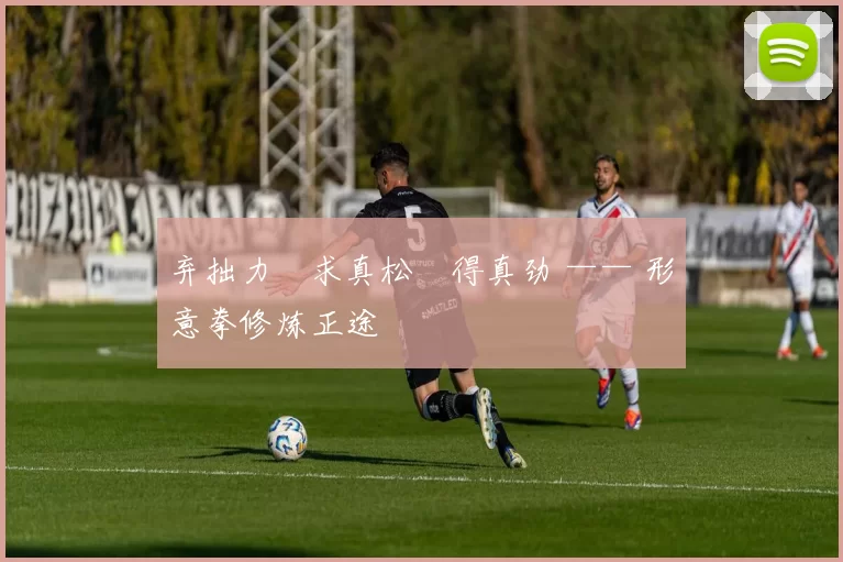 弃拙力・求真松・得真劲 —— 形意拳修炼正途