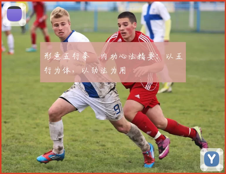 形意五行拳・内功心法精要：以五行为体，以劲法为用