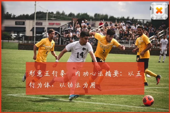 形意五行拳・内功心法精要:以五行为体,以劲法为用