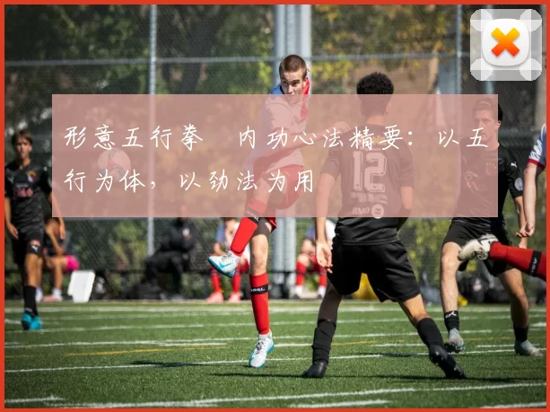 形意五行拳・内功心法精要：以五行为体，以劲法为用