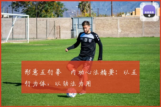 形意五行拳・内功心法精要:以五行为体,以劲法为用