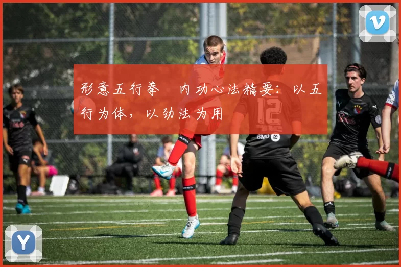 形意五行拳・内功心法精要:以五行为体,以劲法为用