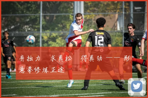 弃拙力・求真松・得真劲 —— 形意拳修炼正途