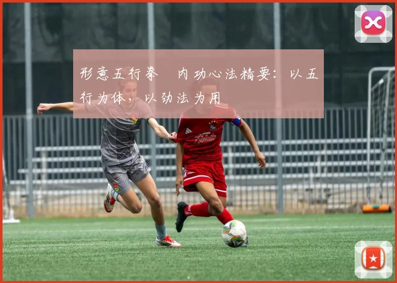 形意五行拳・内功心法精要:以五行为体,以劲法为用