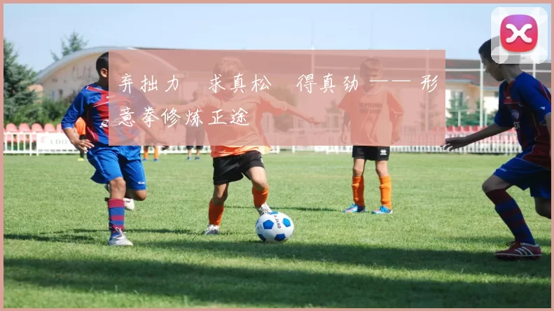 弃拙力・求真松・得真劲 —— 形意拳修炼正途