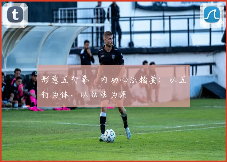 形意五行拳・内功心法精要：以五行为体，以劲法为用