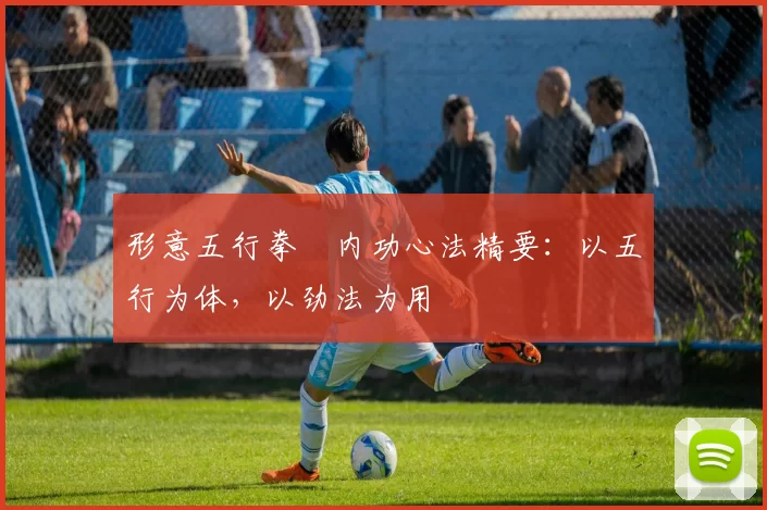 形意五行拳・内功心法精要：以五行为体，以劲法为用