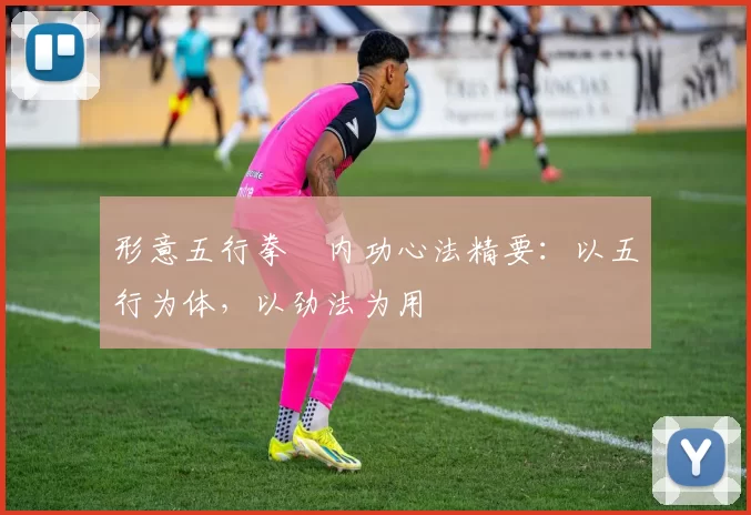 形意五行拳・内功心法精要:以五行为体,以劲法为用