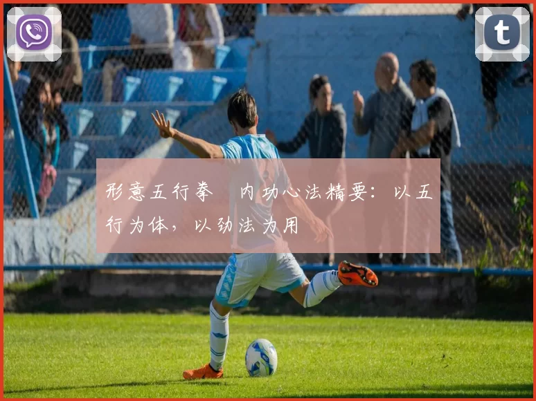 形意五行拳・内功心法精要：以五行为体，以劲法为用