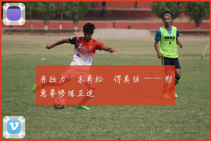 弃拙力・求真松・得真劲 —— 形意拳修炼正途
