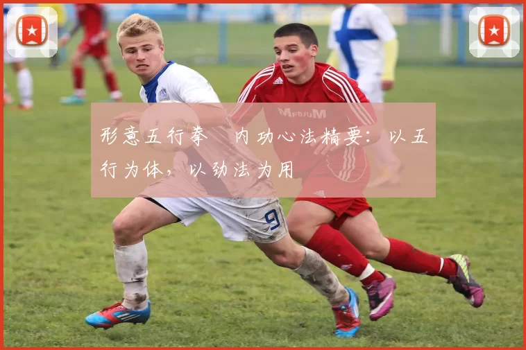 形意五行拳・内功心法精要：以五行为体，以劲法为用