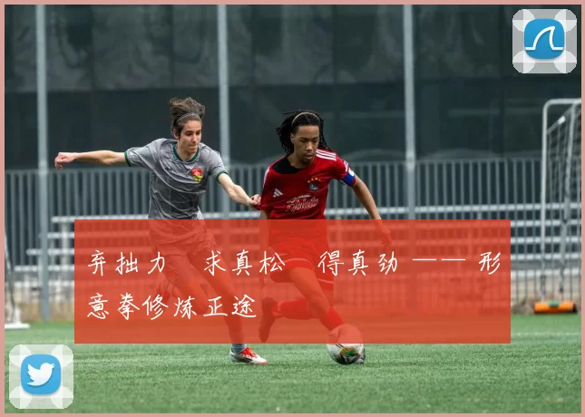 弃拙力・求真松・得真劲 —— 形意拳修炼正途