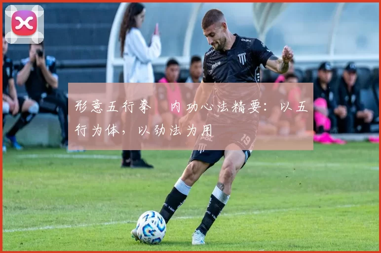 形意五行拳・内功心法精要：以五行为体，以劲法为用