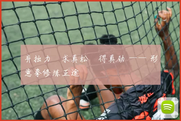 弃拙力・求真松・得真劲 —— 形意拳修炼正途