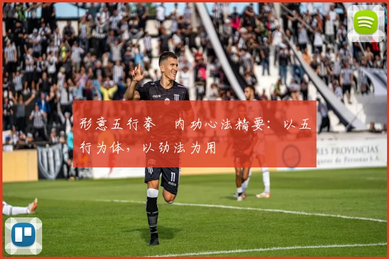 形意五行拳・内功心法精要:以五行为体,以劲法为用