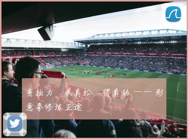 弃拙力・求真松・得真劲 —— 形意拳修炼正途