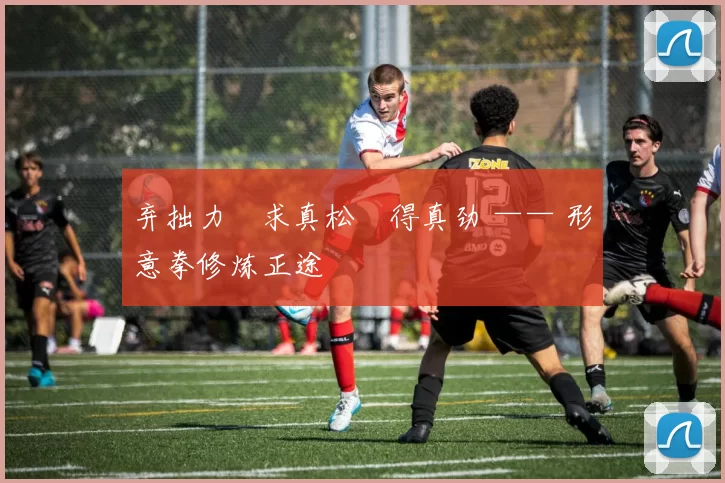 弃拙力・求真松・得真劲 —— 形意拳修炼正途